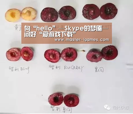 向“hello”—Skype的梦魇—问好“爱游戏下载”(图2) 爱游戏官网