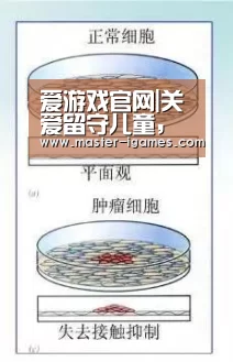 爱游戏官网|关爱留守儿童,呵护身边天使(图1) 爱游戏下载
