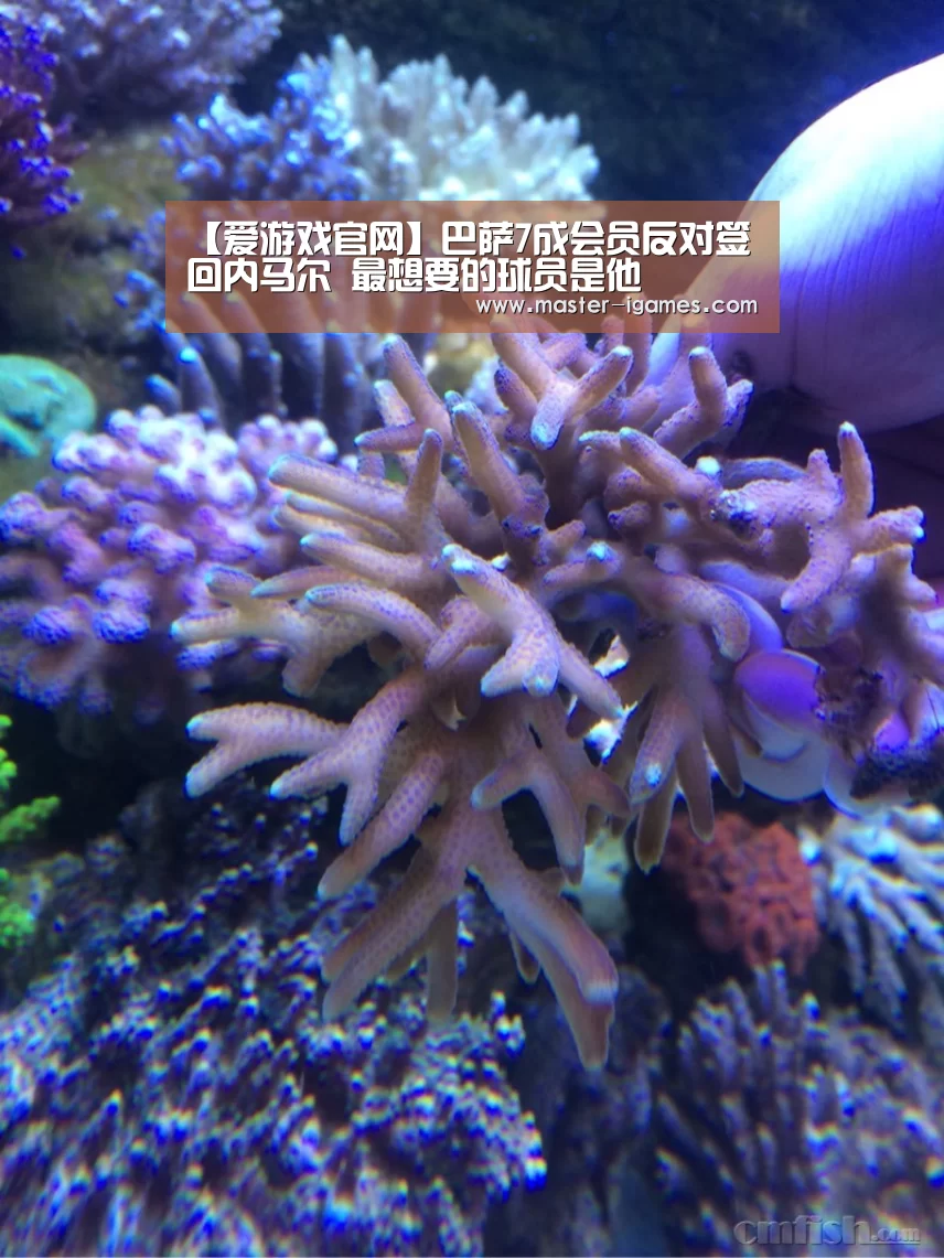 【爱游戏官网】巴萨7成会员反对签回内马尔 最想要的球员是他(图4) 爱游戏官网