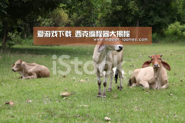 爱游戏体育平台