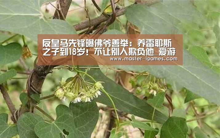 反皇马先锋曝佛爷善举:养雷耶斯之子到18岁!不让别人欺负他_爱游戏体育平台(图1) 爱游戏下载