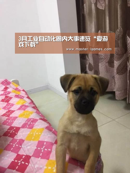 爱游戏